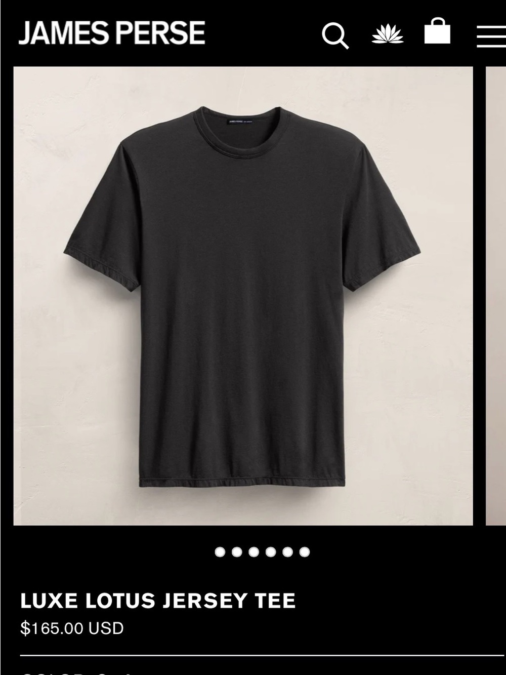 James Perse Luxe Lotus Jersey Tee in Carbon, Men’s Small / Japanese fabric.